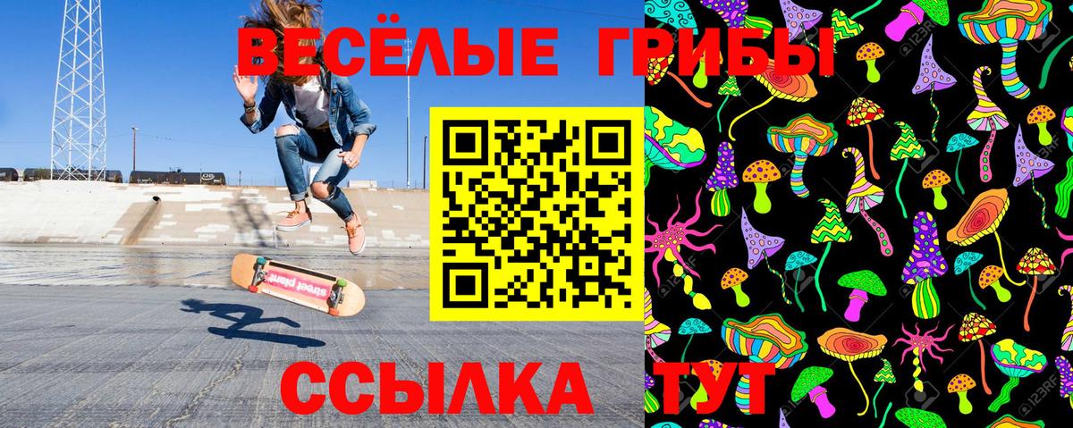 Псилоцибиновые грибы мухоморы Полевской