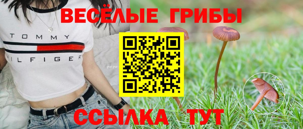 MDMA Полевской