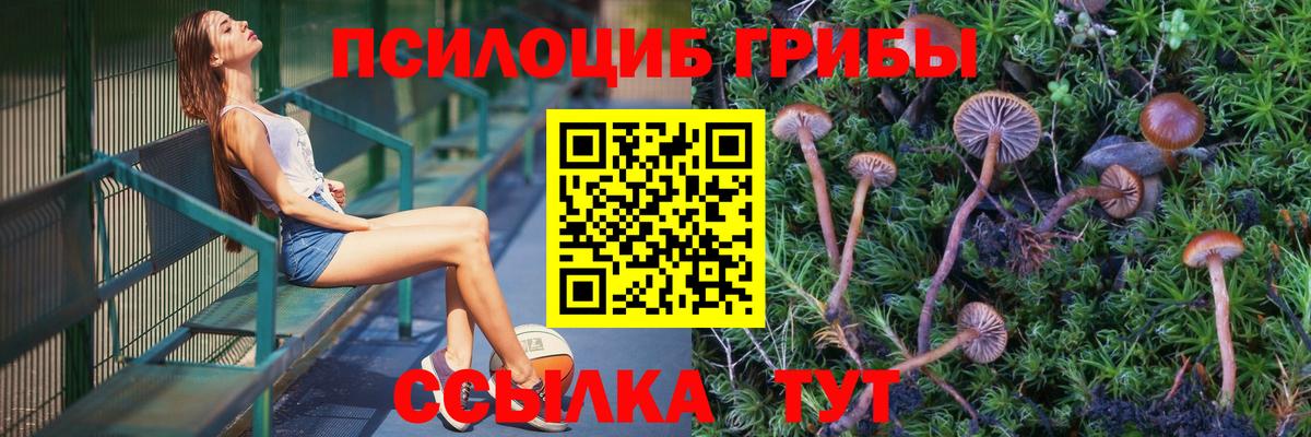 Полевской  Галлюциногенные грибы Psilocybine cubensis  как найти закладки  Галлюциногенные грибы Magic Shrooms  Вход с VPN 